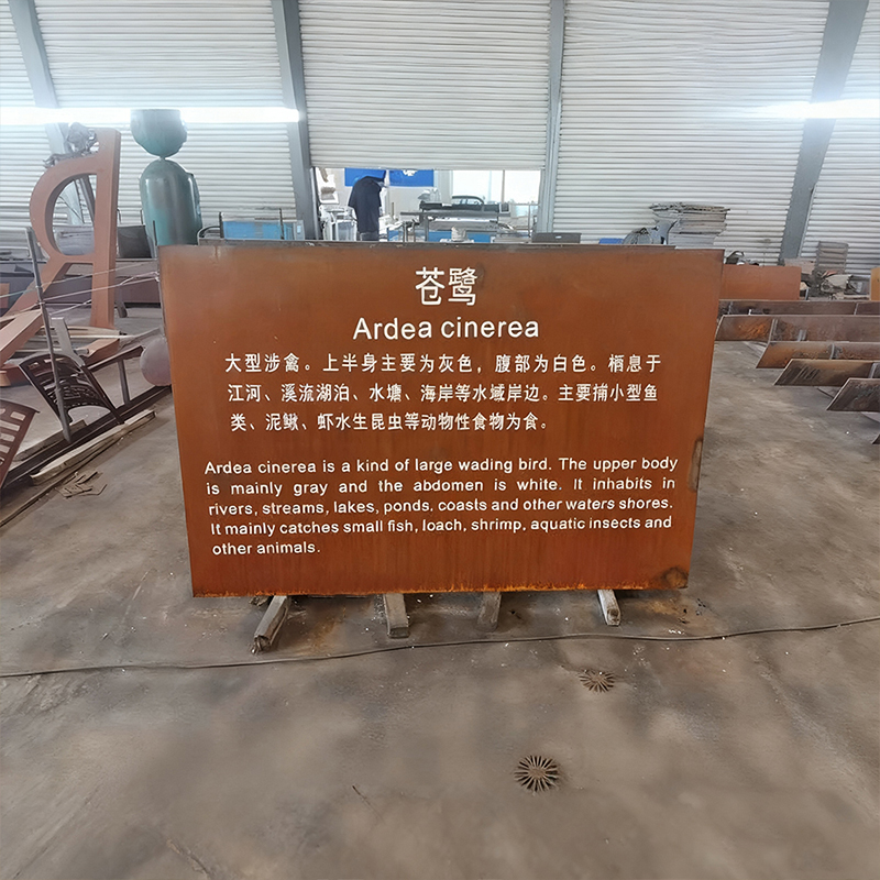 Zvětrávání Ocel Volavka Věda Vzdělávání Zvětrávání Ocelové Znamení